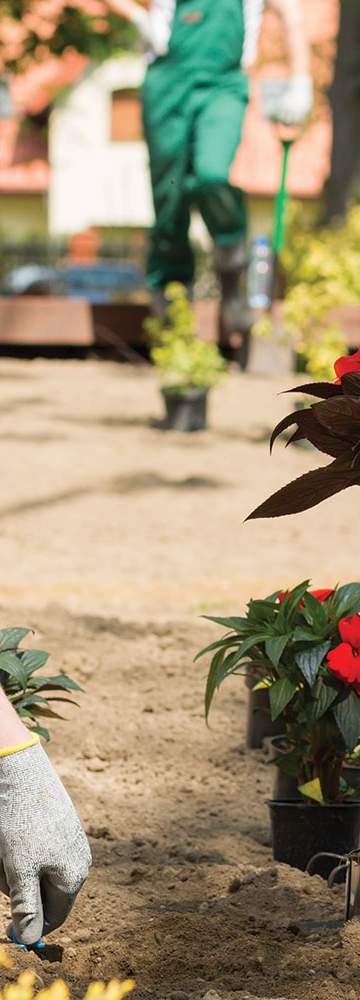 Jardinier paysagiste à Taillant