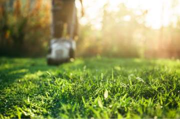 Contrat d’entretien annuel pour l'entretien de jardin Contrat d’entretien annuel pour l'entretien de jardin