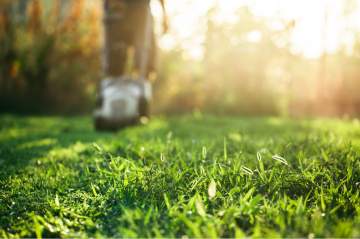 Contrat d’entretien annuel pour l'entretien de jardin