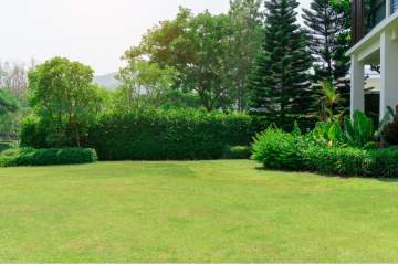 Les prestations de votre jardinier paysagiste Les prestations de votre jardinier paysagiste