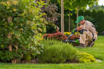 Entretien de jardin ponctuel